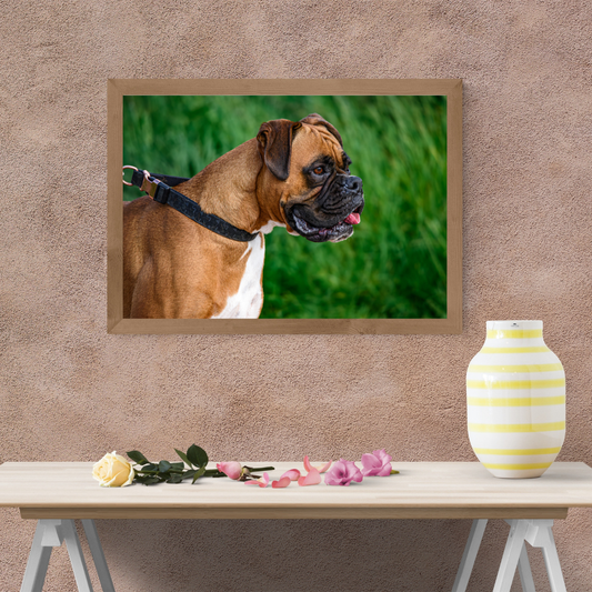 "Majestic Boxer – Fine Art Dog Portrait Print"