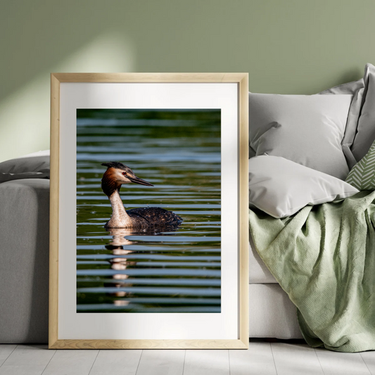 Grace of the Grebe – Tranquil Water Bird Print.
