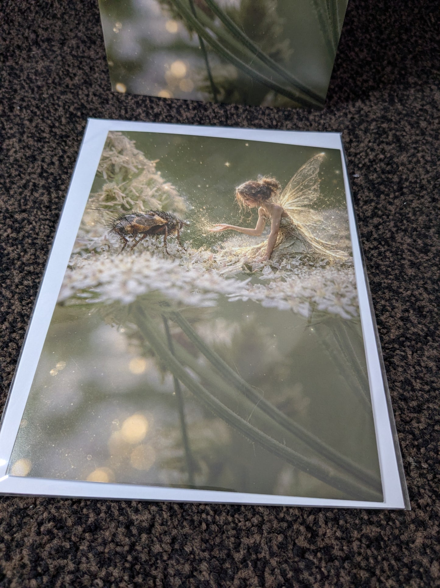 Every life is magic/Nature with a Touch of Magic Greeting Card | A5 Blank Card | Wildlife & Nature Art