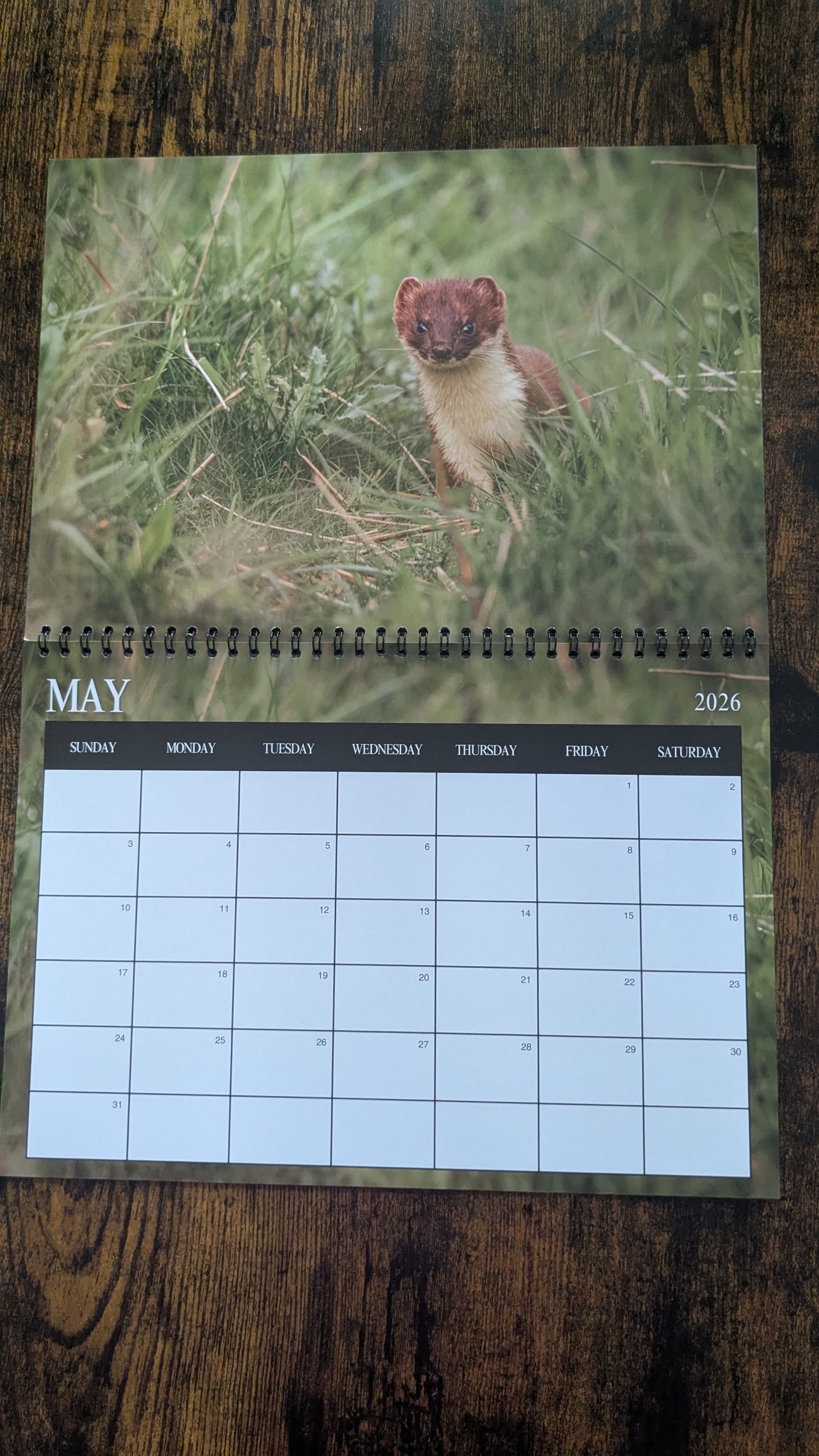 Pre-Order 2026 Nature & Wildlife Calendar (FREE October Shipping)
