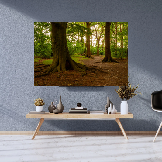 Golden woodland pathway.