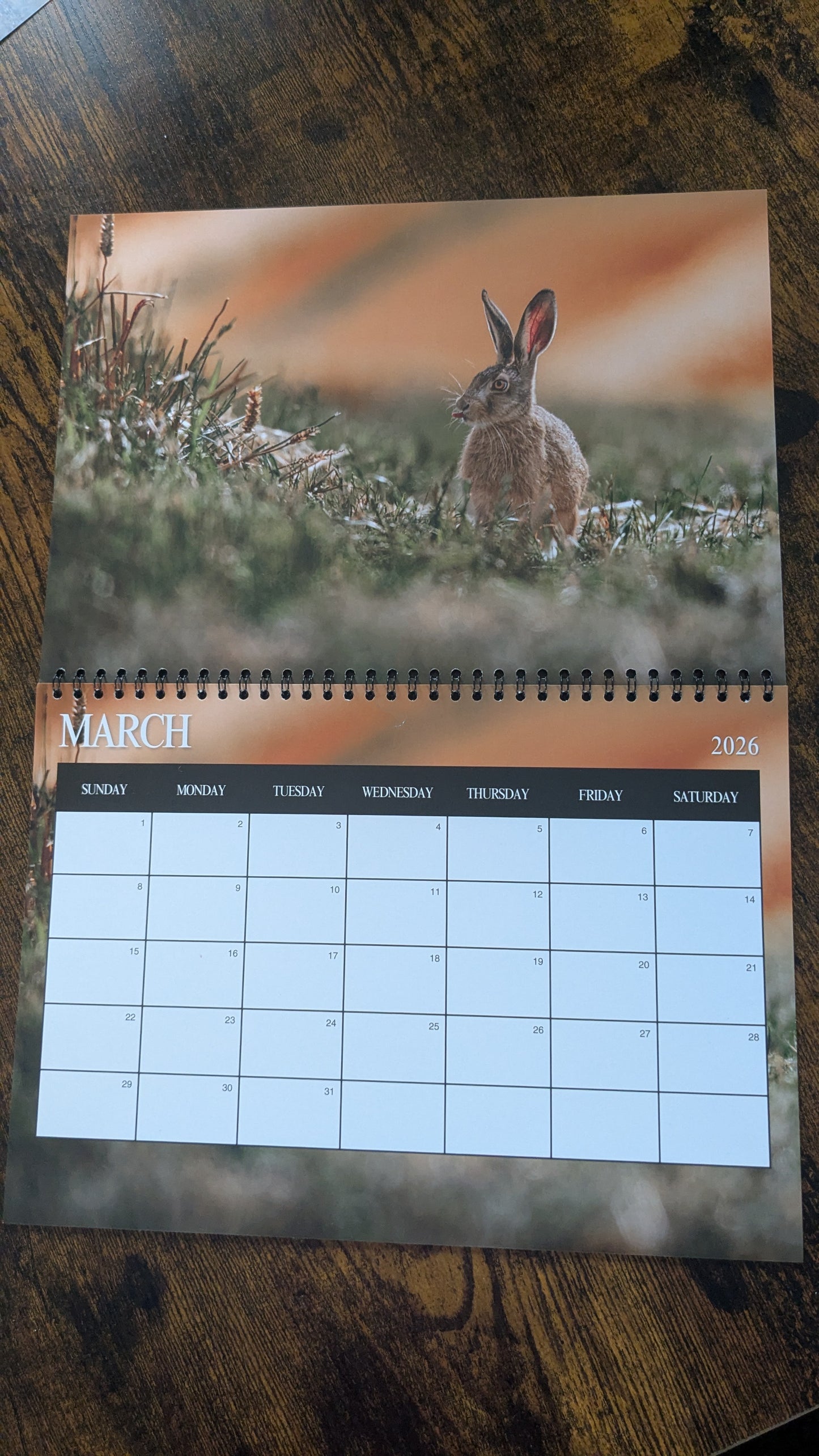 Pre-Order 2026 Nature & Wildlife Calendar (FREE October Shipping)