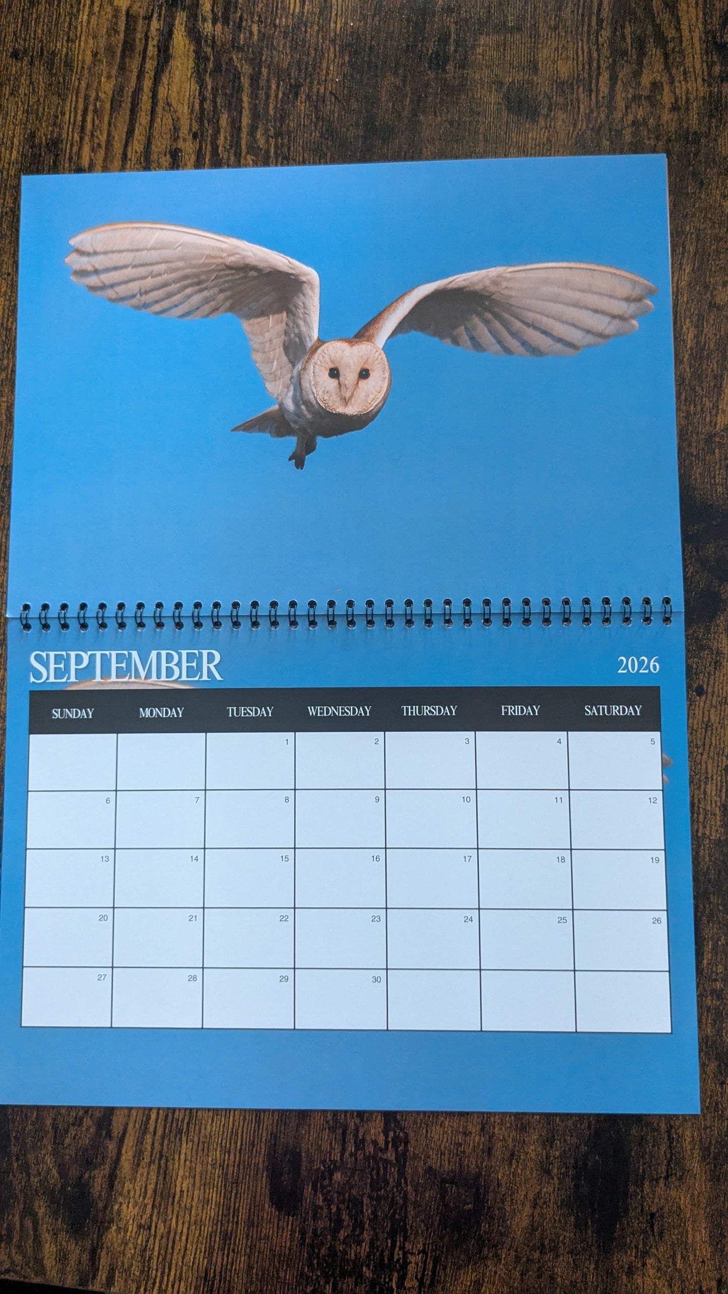 Pre-Order 2026 Nature & Wildlife Calendar (FREE October Shipping)
