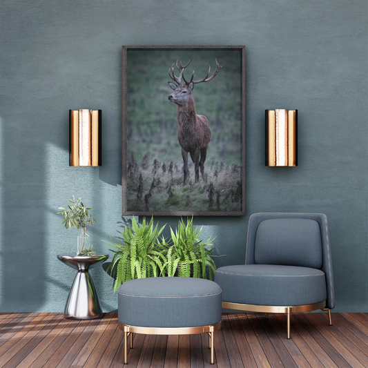 "Majesty in the Mist – Red Stag Fine Art Print"