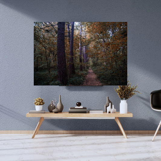 Woodland walk - Through the Trees – Autumn Woodland Print.