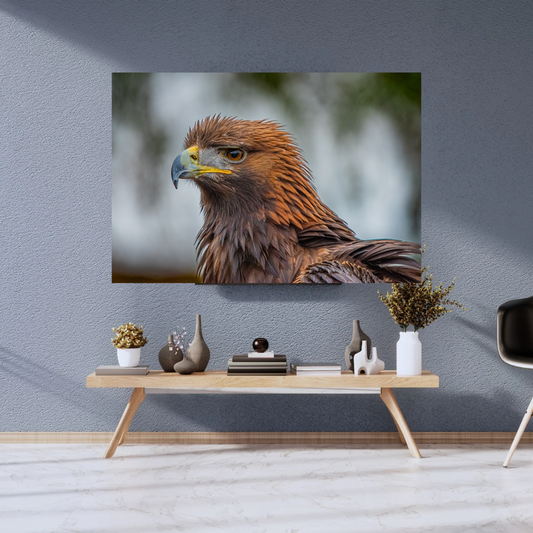 Golden Eagle Portrait Print – Majestic Wildlife Wall Art