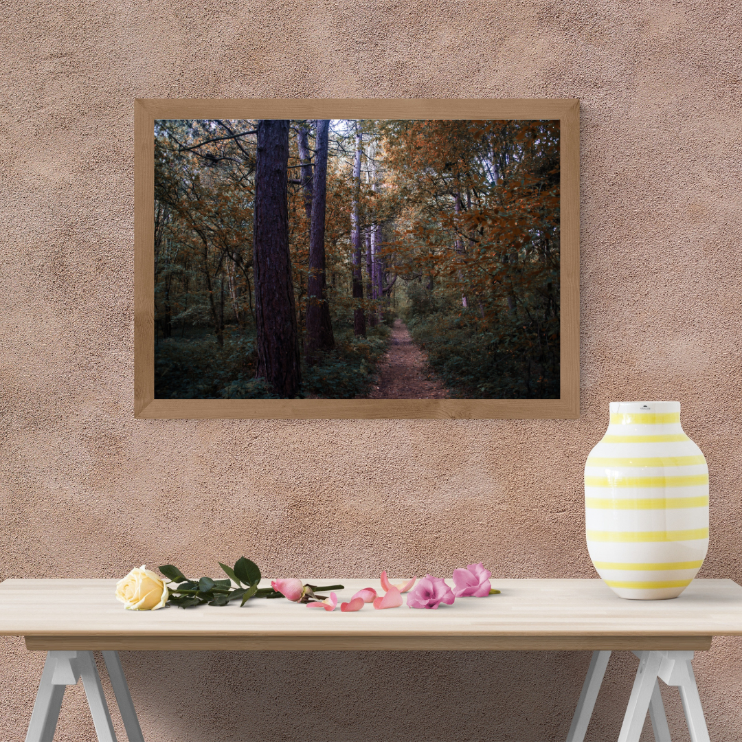 Woodland walk - Through the Trees – Autumn Woodland Print.