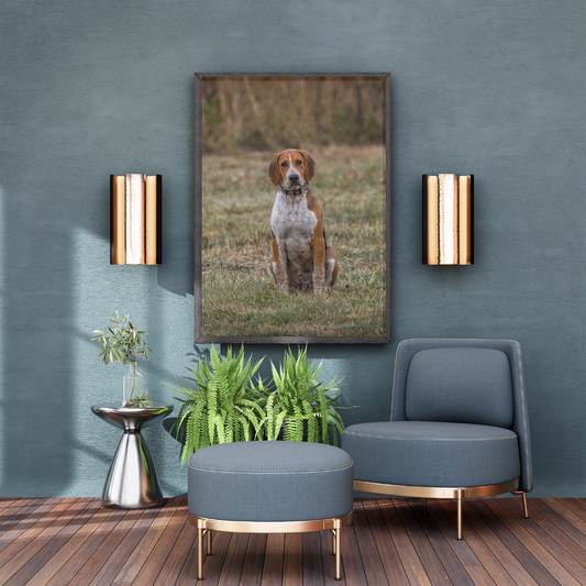 Hound Dog Portrait Print – Rustic Countryside Wall Art | Picture This Print