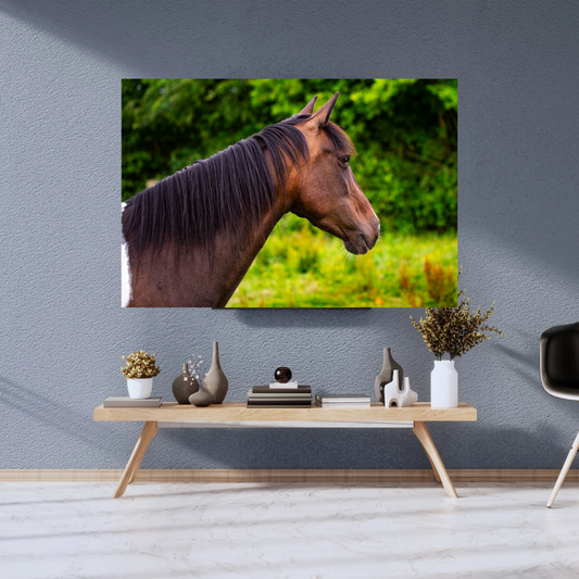 Paddock pony portrait – Equine Wall Art Print