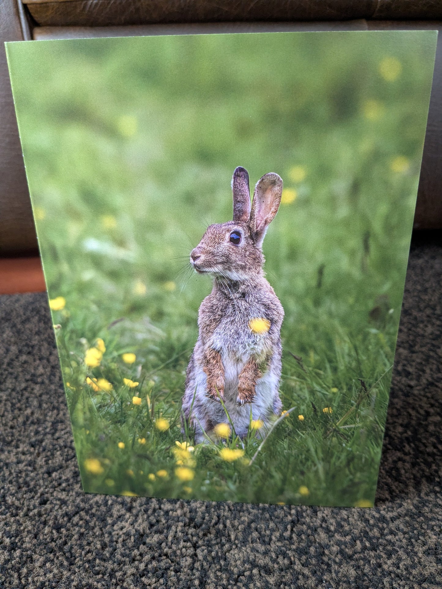Buttercup bunny – A5 Blank Greeting Card
