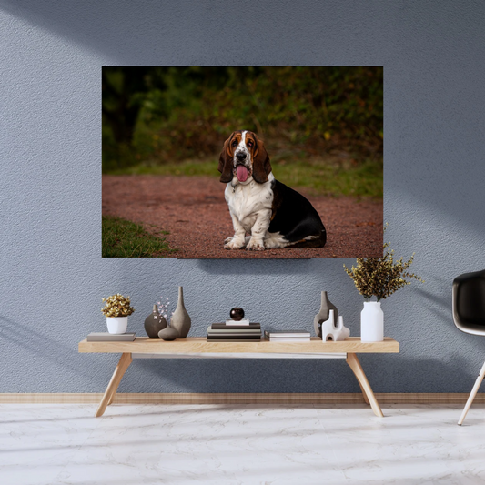 Basset Hound at Frickley – Limited Edition Print