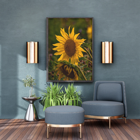 Beautiful Sunflower Portrait – Vibrant Yellow Wall Art Print
