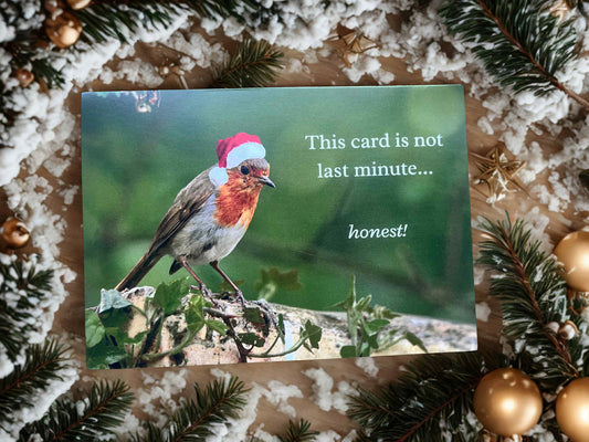 This card is not last minute honest, Christmas card.