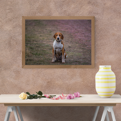 Hound Dog Portrait Print – Rustic Countryside Wall Art | Picture This Print