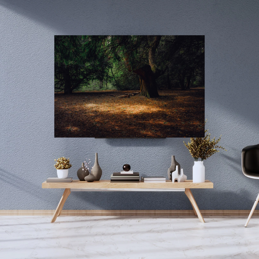Ancient Woodland Tree Print – Mystical Forest Nature Photography Wall Art
