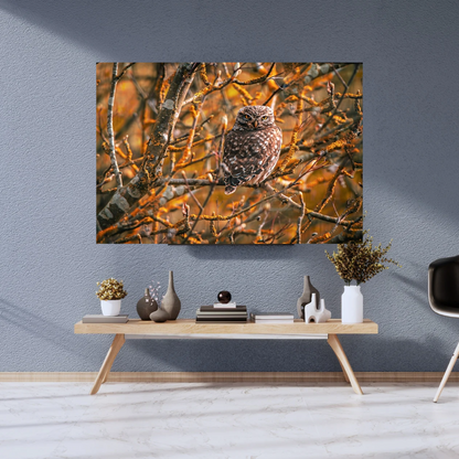 "Striking Little Owl Print – Woodland Wildlife Wall Art"