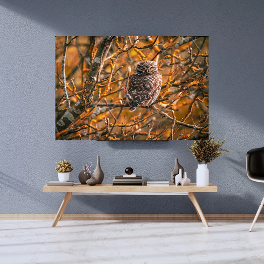 "Striking Little Owl Print – Woodland Wildlife Wall Art"