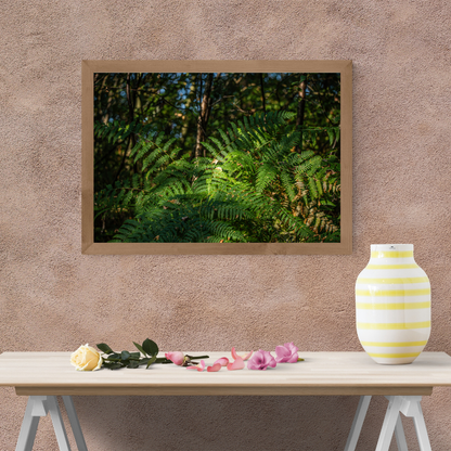 Tranquil Green Woodland Path fern – Nature Photography for Calm and Mindfulness.