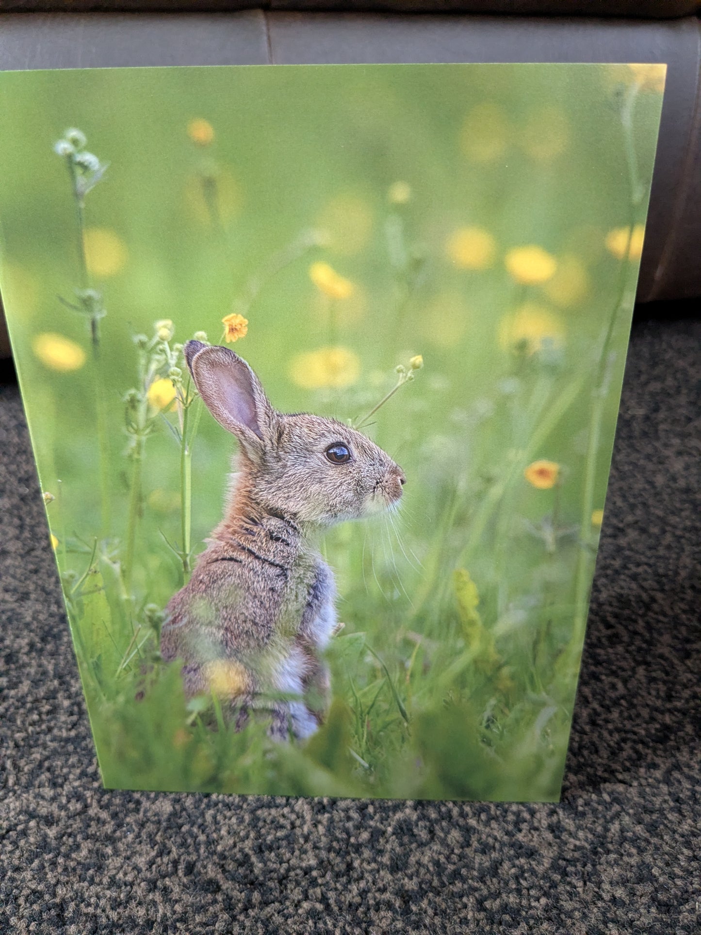 Buttercup whispers/Nature and wildlife Magic – A5 Blank Greeting Card