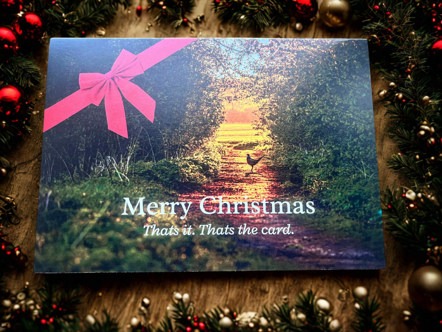 Merry Christmas,Thanks that's the card.