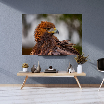 Golden Eagle Portrait Print – Majestic Wildlife Wall Art