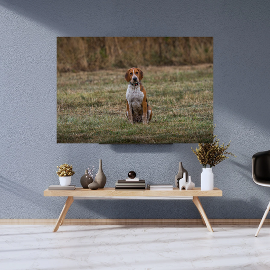 Hound Dog Portrait Print – Rustic Countryside Wall Art | Picture This Print