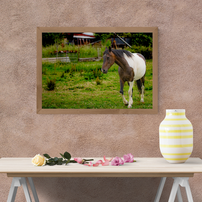 Paddock pony – Equine Wall Art Print