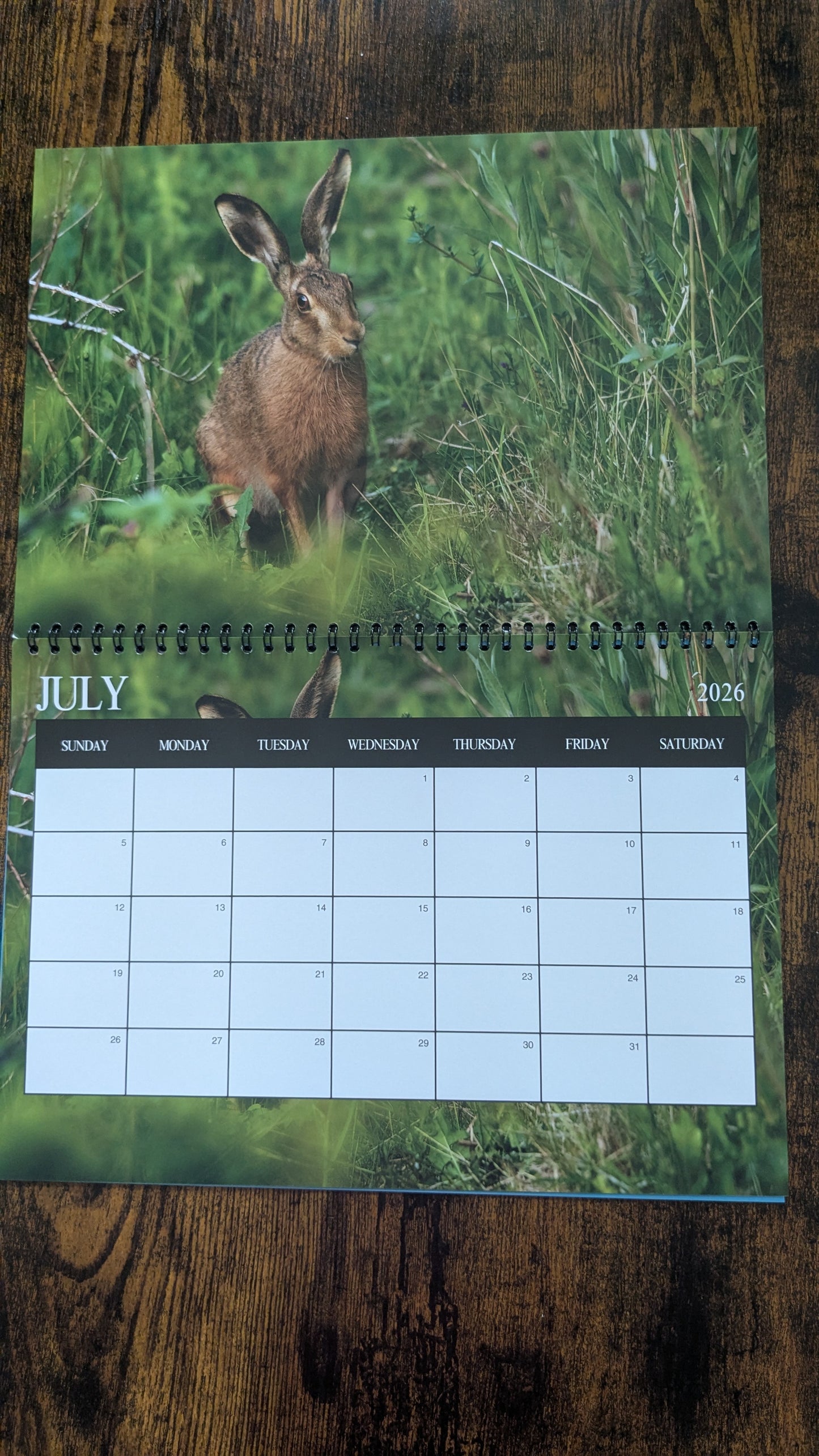 Pre-Order 2026 Nature & Wildlife Calendar (FREE October Shipping)